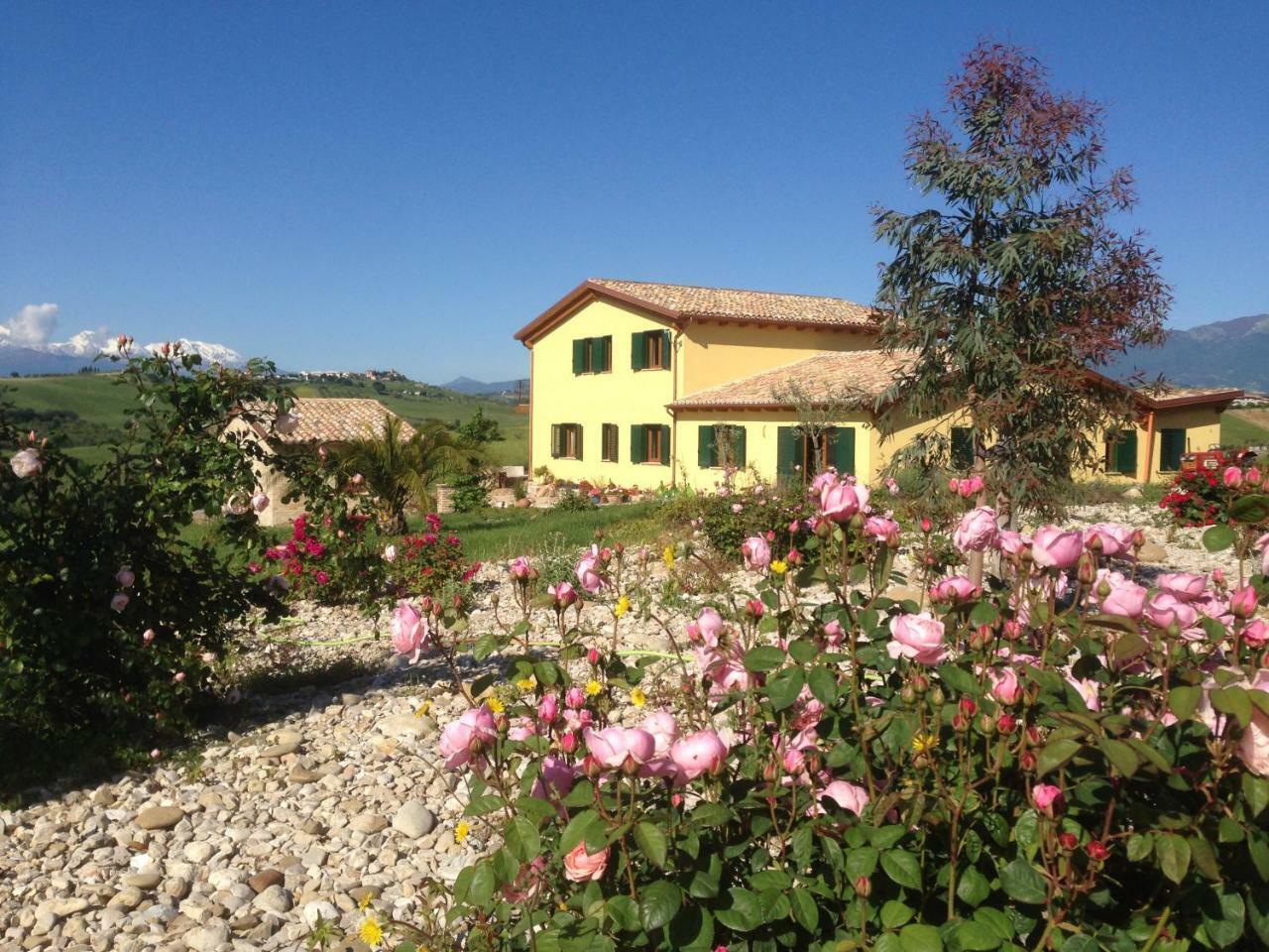 Il Frutteto Bed And Breakfast Ripattone Exteriör bild